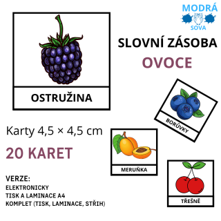 Základní slovní zásoba OVOCE (20 kartiček), kartičky 4,5 x 4,5 cm